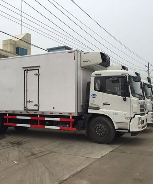 上海至南昌冷链物流专线 专业冷藏运输公司的服务解析与选择指南